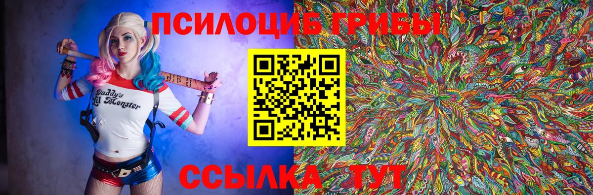 Галлюциногенные грибы мухоморы  Вход с VPN  Борзя 