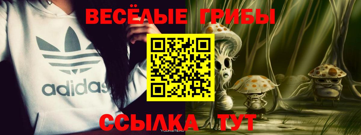 Галлюциногенные грибы Psilocybe Борзя